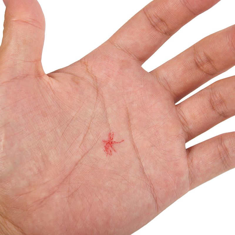 1/4pcs Mosquito Pattern Self-I - Self Inking Stamp ulasan dan harga